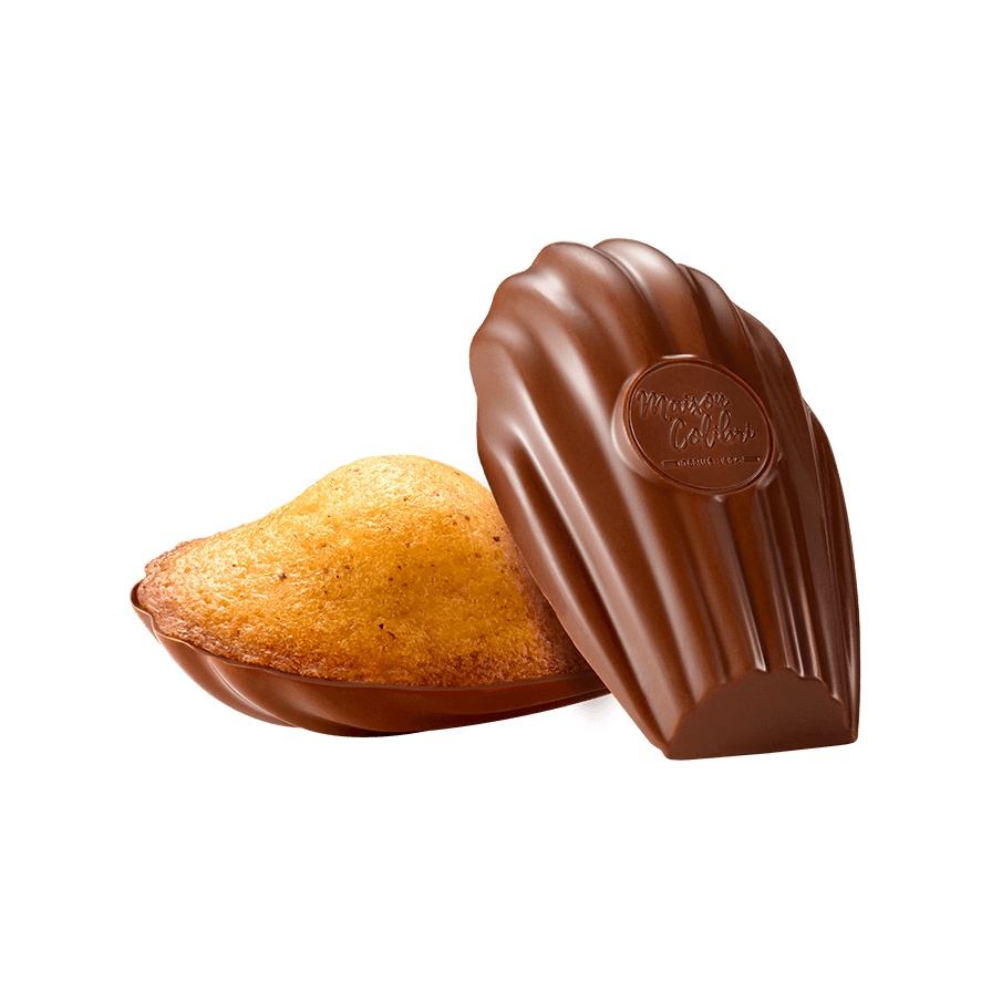 MAISON COLIBRI | Hazelnoot Madeleine Melkchocolade schelp