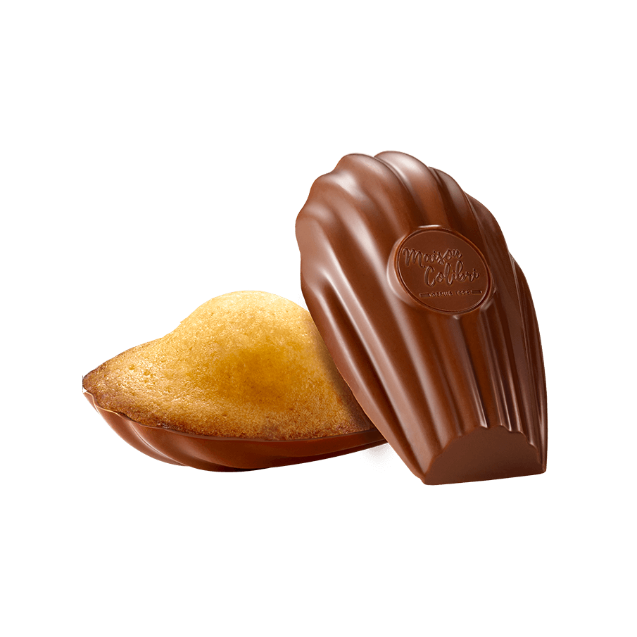 Madeleine met melkchocoladeschelp - Madeleine met melkchocoladeschelp kopen | Maison Colibri